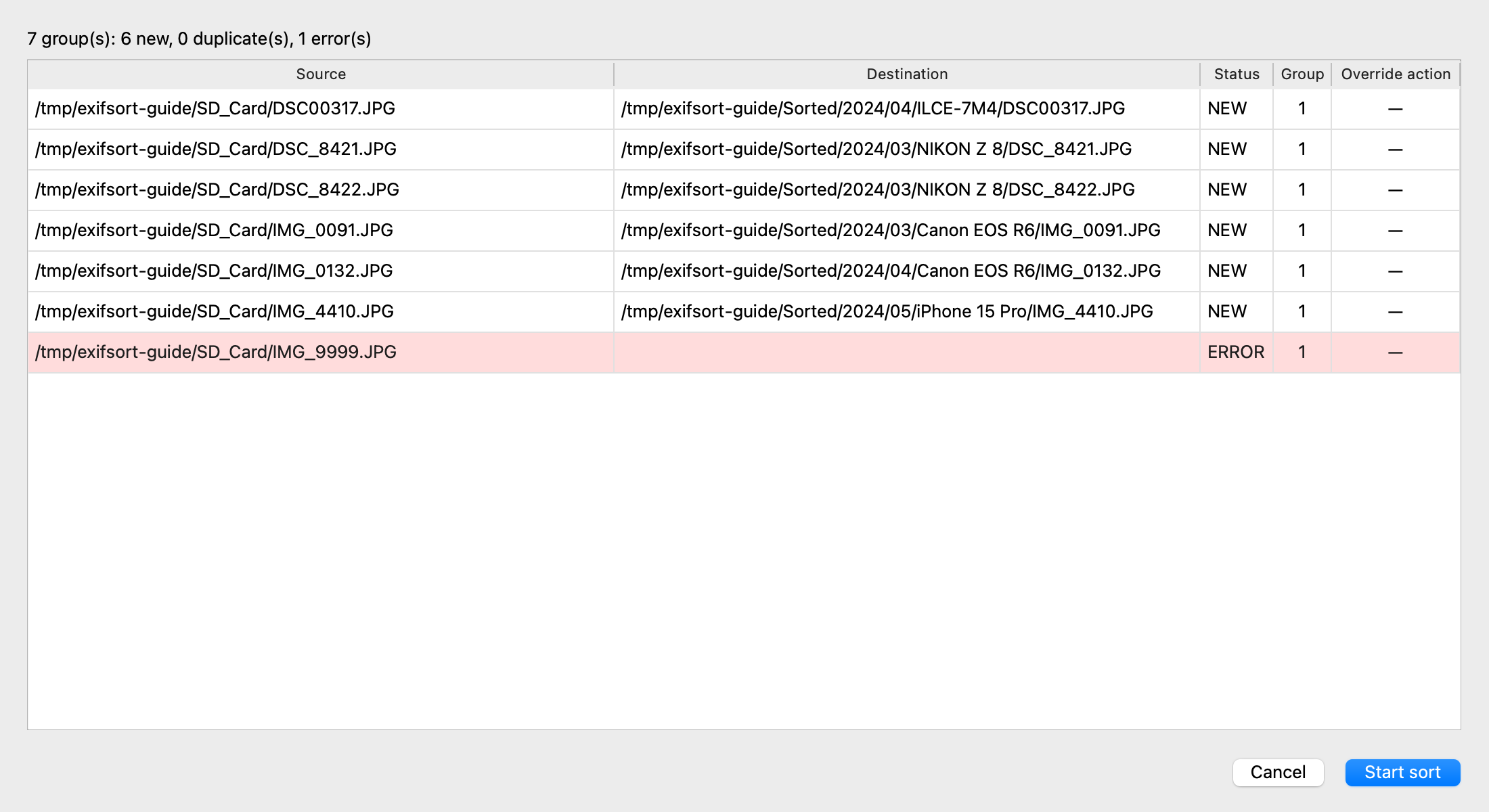 The pre-run preview showing every file and where it lands